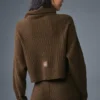 Cashmere Plush Waffle Turtleneck Pullover - Espresso